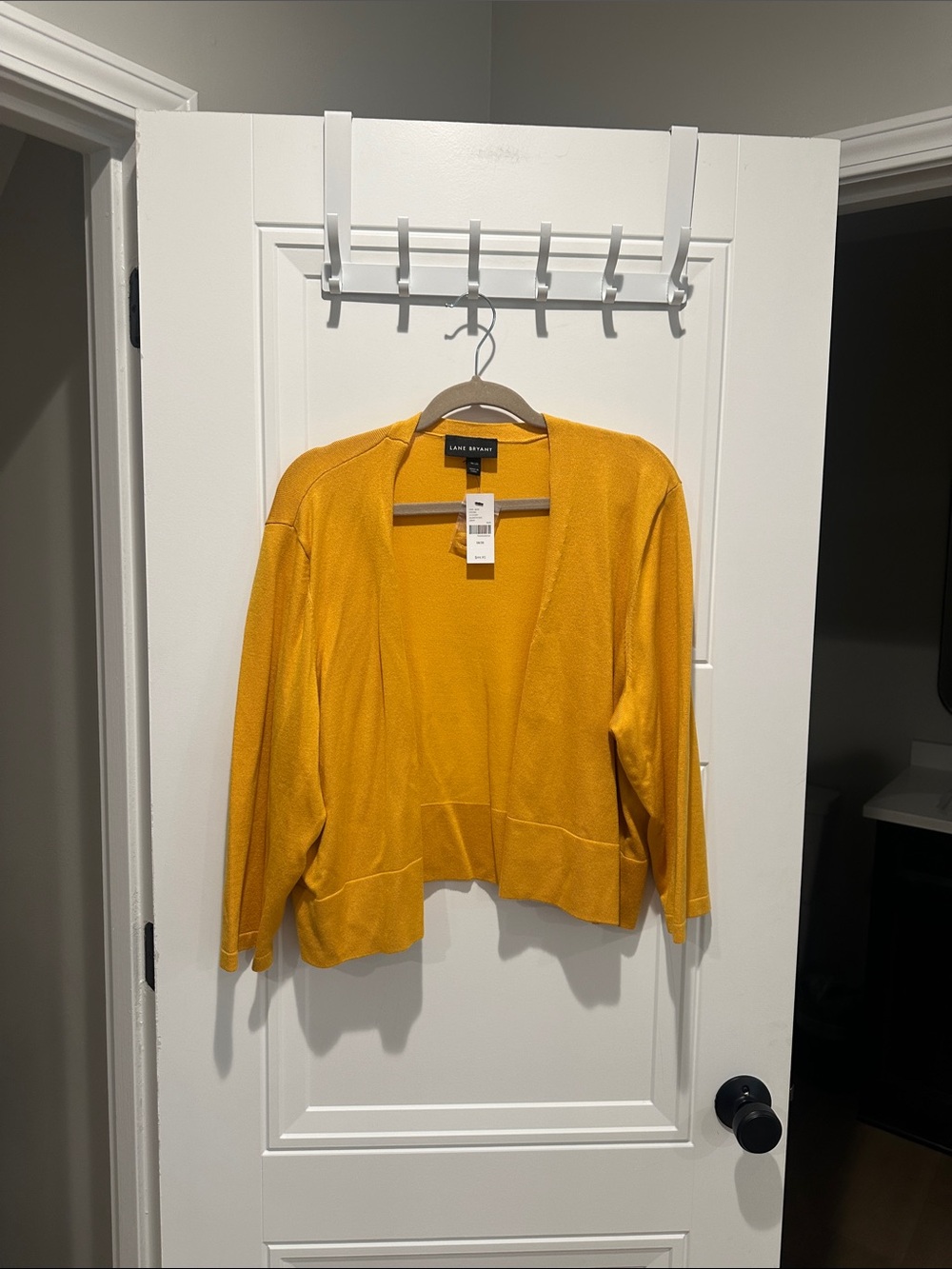 NWT Lane Bryant Sweater